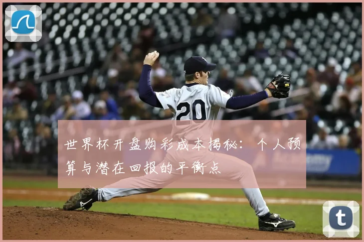 世界杯开盘购彩成本揭秘：个人预算与潜在回报的平衡点