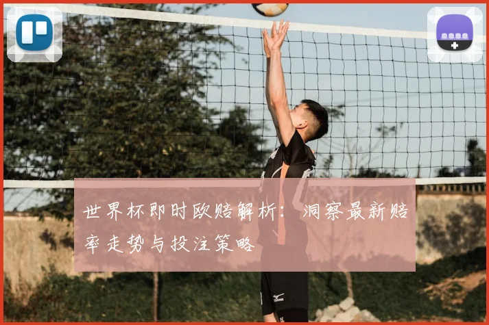 世界杯即时欧赔解析：洞察最新赔率走势与投注策略