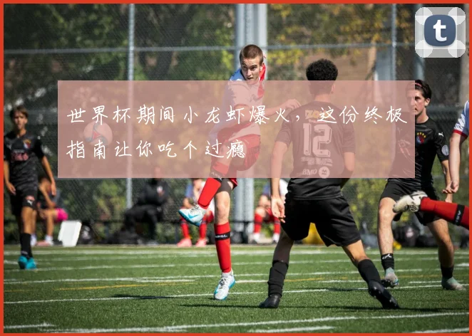 世界杯期间小龙虾爆火，这份终极指南让你吃个过瘾