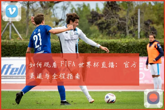如何观看 FIFA 世界杯直播：官方渠道与全程指南