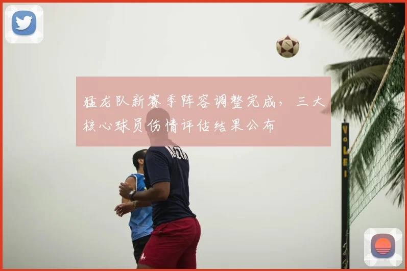 猛龙队新赛季阵容调整完成,三大核心球员伤情评估结果公布