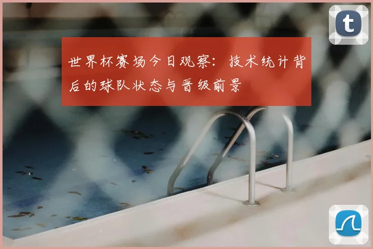世界杯赛场今日观察：技术统计背后的球队状态与晋级前景