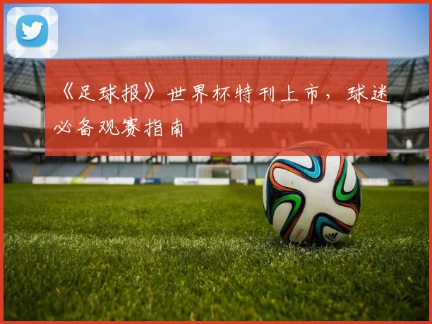 《足球报》世界杯特刊上市，球迷必备观赛指南